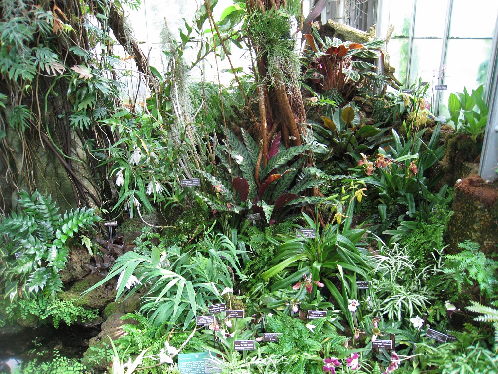 Wash DC 2009 4435.jpg - A 4th of July trip to Washington DC in 2009 to see the museums, memorials and fireworks.